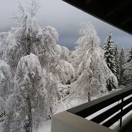 Relax Sull'Altopiano Di Asiago Apartment Gallio