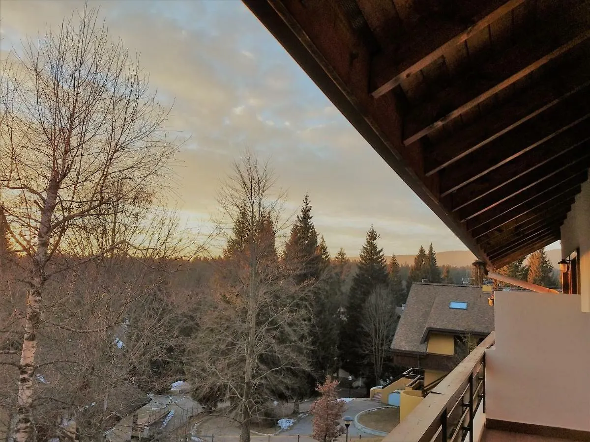 Relax Sull'Altopiano Di Asiago Apartment Gallio